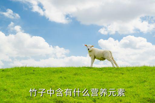 选购竹荪技巧_竹荪的营养价值做法_竹荪粥食疗