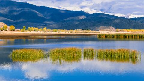 富贵家居风水布局_办公室提升升职运势风水学_家居风水布局催官旺运