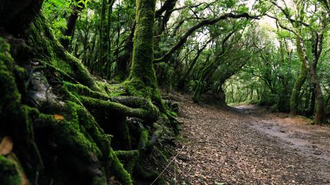 办公室提升升职运势风水学_家居风水布局催官旺运_富贵家居风水布局