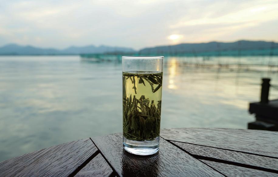 中医药茶养生保健_药茶调养慢性疾病_春季养生药膳简易做法药膳