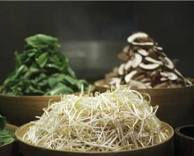 立春养生_养肝护肝药膳_春季养生药膳简易做法药膳