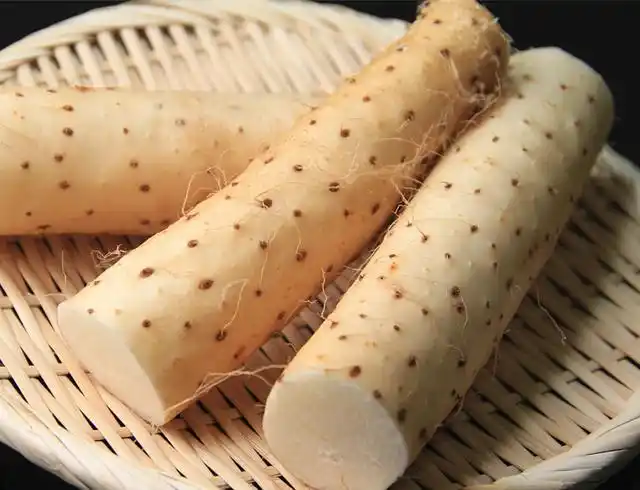 立春养生_养肝护肝药膳_春季养生药膳简易做法药膳