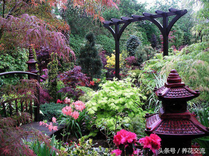 风水植物布置_院子风水植物讲究_庭院房屋风水