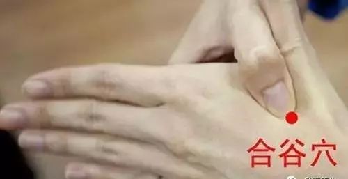 祝总骧经络锻炼法_祝总骧三一二经络锻炼法_312经络锻炼法