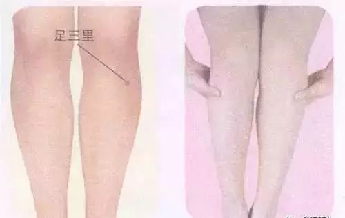 312经络锻炼法_祝总骧经络锻炼法_祝总骧三一二经络锻炼法