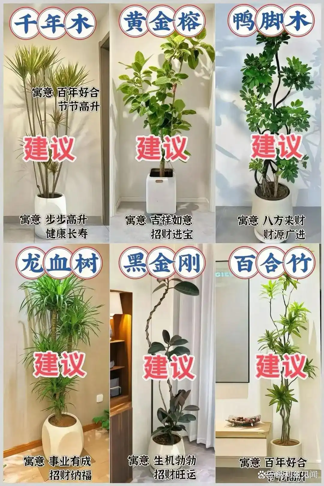 客厅风水禁忌_客厅风水十大禁忌_传统风水与现代建筑结合