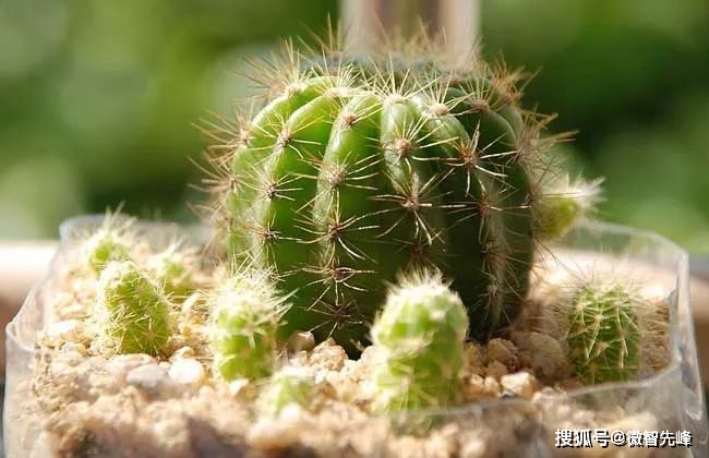 客厅风水布局_风水客厅布局原则_客厅风水十大禁忌