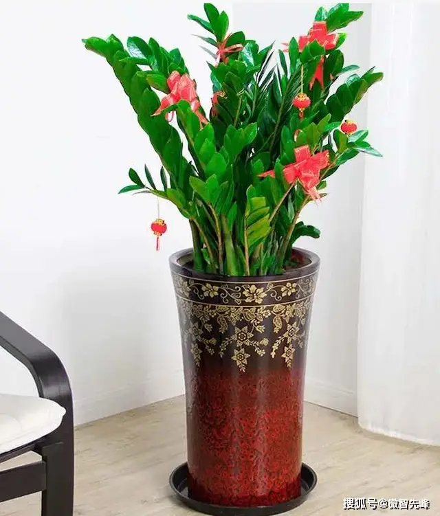 客厅风水十大禁忌_客厅风水布局_风水客厅布局原则