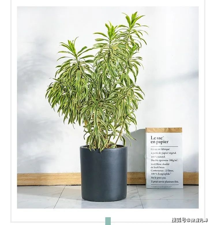 风水客厅布局原则_客厅风水十大禁忌_客厅风水布局