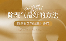 不同人群湿气重症状及调理_夏季祛湿药膳搭配技巧药膳_夏季祛湿食谱推荐