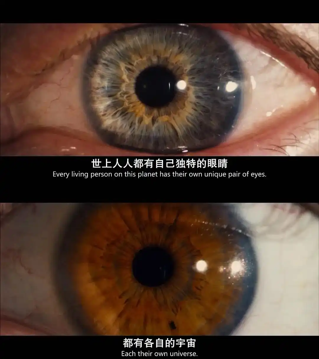 科幻电影推荐_经典电影回顾_人工智能 类似电影