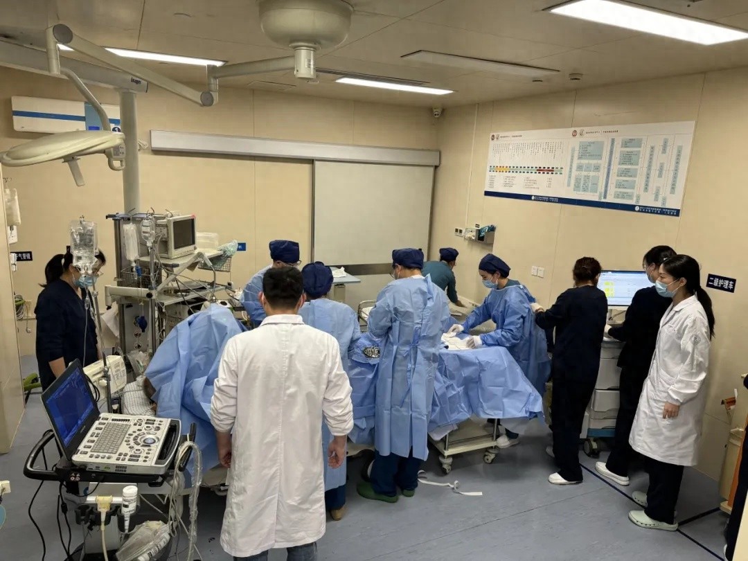 附子进补风险_生附子中毒_新鲜附子药膳