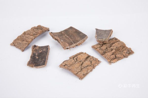 最有营养的药膳推荐_药膳食谱大全_药膳菜品食疗