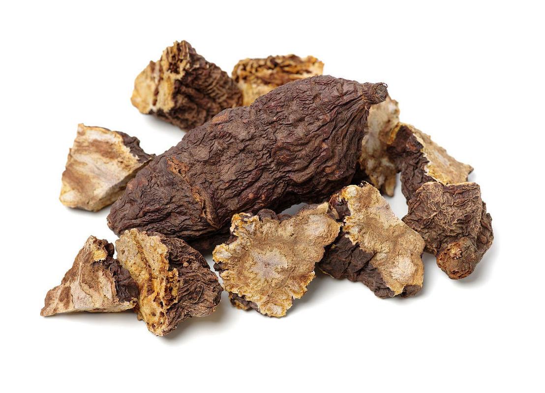 滋阴降火汤_长期虚火体质怎么调理_虚火症状