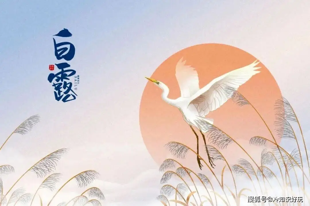 白露节气习俗_白露养生禁忌_白露养生功法