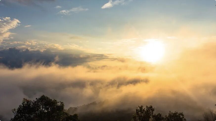 中医定义_中医治则学说_中医研究对象