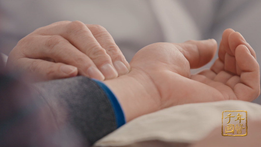 中医定义_中医治则学说_中医研究对象