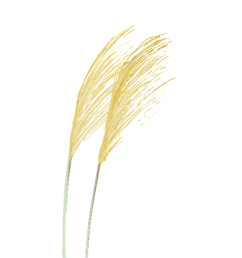 阴阳五行与中医养生_五行学说演变历史_阴阳五行中医理论