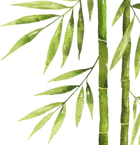 阴阳五行中医理论_五行学说演变历史_阴阳五行与中医养生