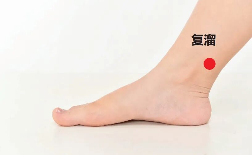 中医足阳明胃经穴位_补脾按摩方法_足太阴脾经穴位按摩