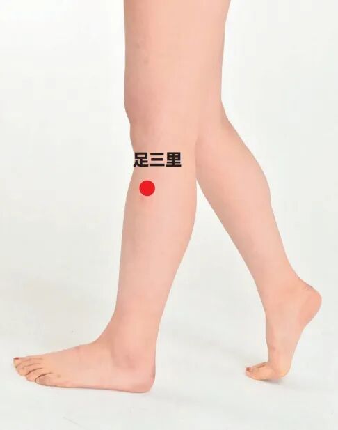 中医足阳明胃经穴位_补脾按摩方法_足太阴脾经穴位按摩
