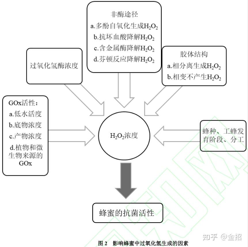 如何辨别真假蜂蜜_蜂蜜润肺偏方_蜂蜜功效与作用