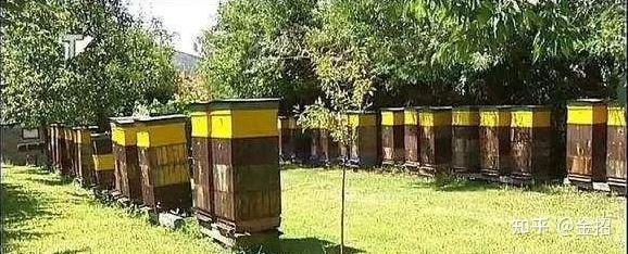 蜂蜜润肺偏方_蜂蜜功效与作用_如何辨别真假蜂蜜