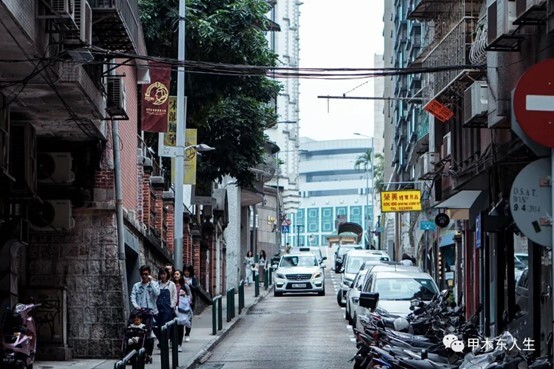 公司风水摆件摆放风水学_东南方位猪摆件风水效应_猪摆件风水摆放位置