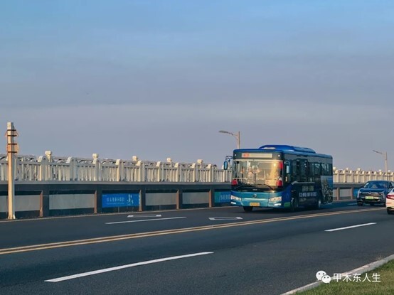 猪摆件风水摆放位置_公司风水摆件摆放风水学_东南方位猪摆件风水效应