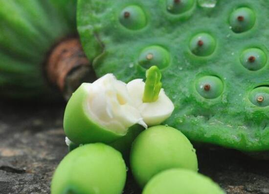 体虚食谱推荐_体虚如何调理_血虚体质调理