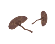 温州建国医院膏方_中医膏方定制_古法养生膏方