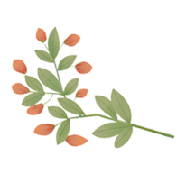 中医膏方定制_古法养生膏方_温州建国医院膏方