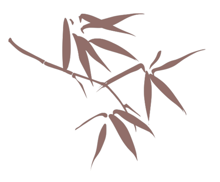 古法养生膏方_温州建国医院膏方_中医膏方定制