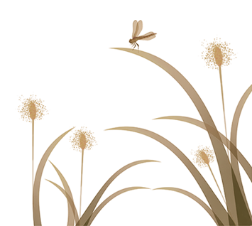 古法养生膏方_温州建国医院膏方_中医膏方定制