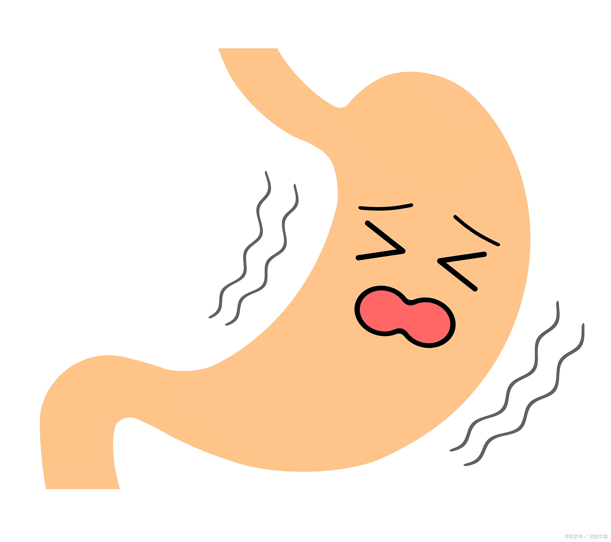 脾主运化功能_中医脾主运化_脾胃运化水谷