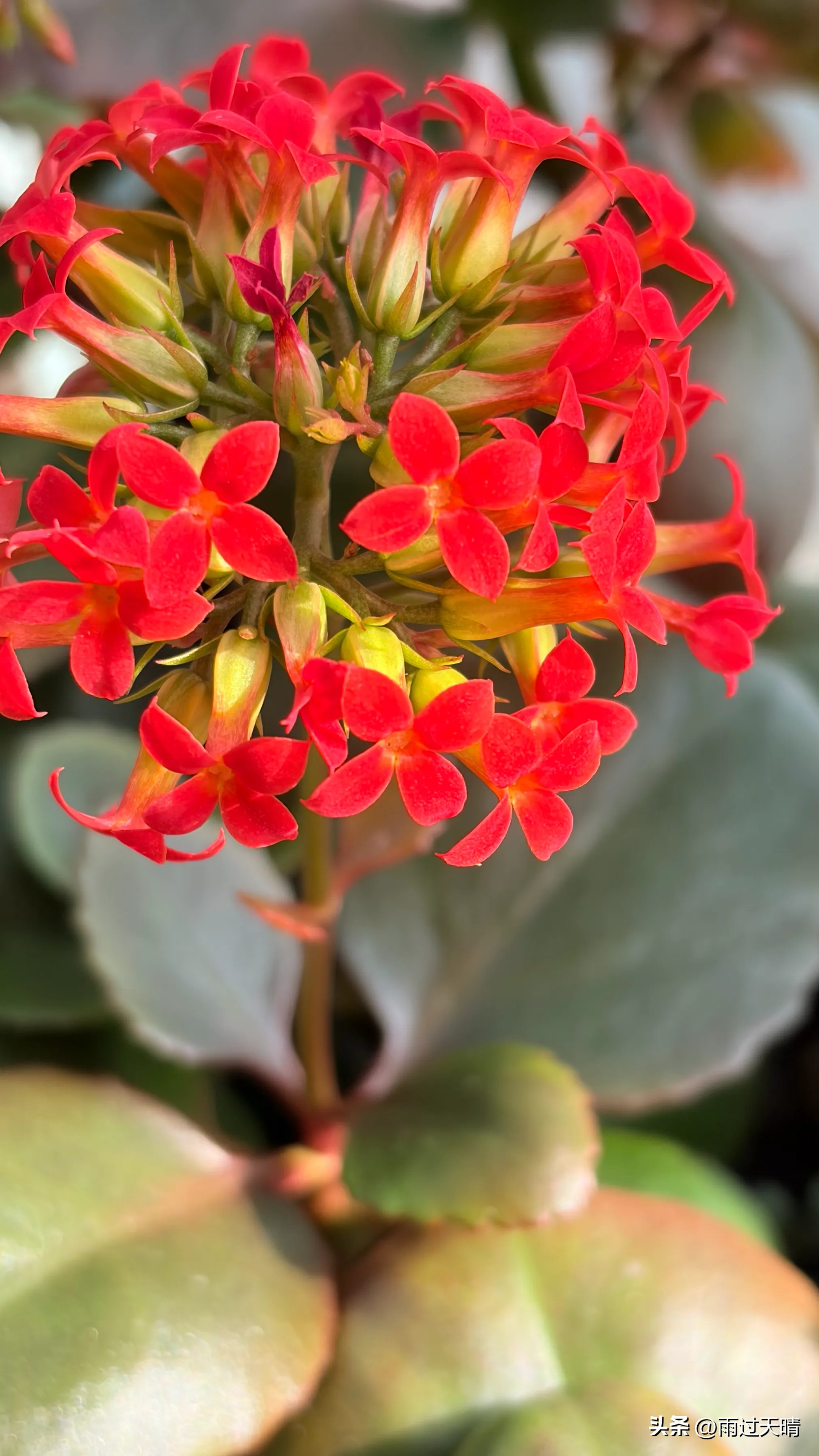 春季养生小知识100个_养肝顺时_春季养生