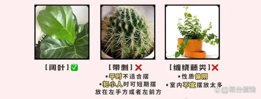 办公室风水峦头_办公逆风水学_公司大门风水布局