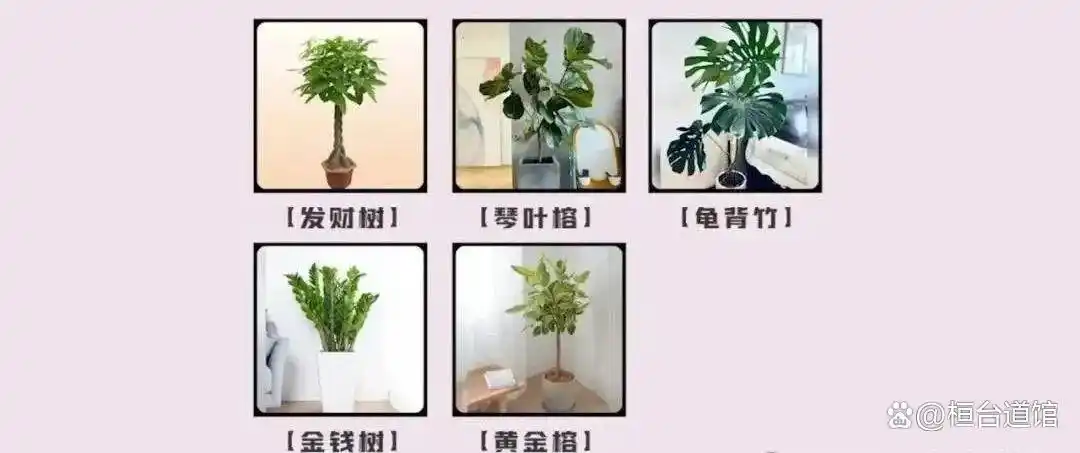 公司大门风水布局_办公室风水峦头_办公逆风水学