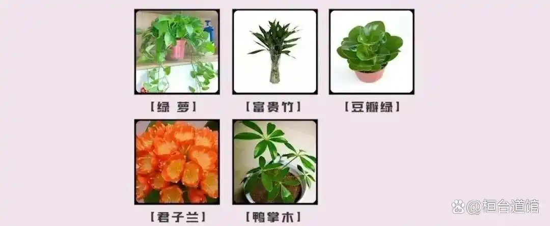 公司大门风水布局_办公逆风水学_办公室风水峦头