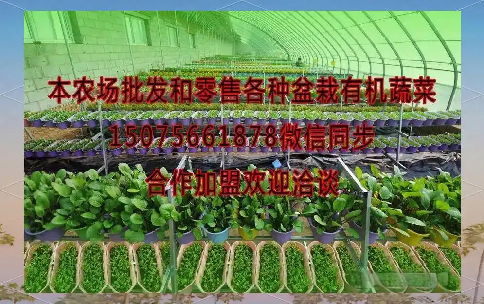 办公室风水布局原则_办公室风水布局要点_办公逆风水学