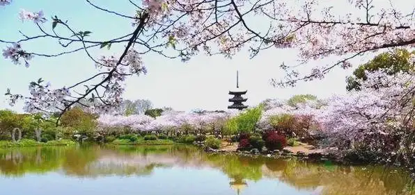 办公逆风水学_座位朝向选择_办公室风水布局