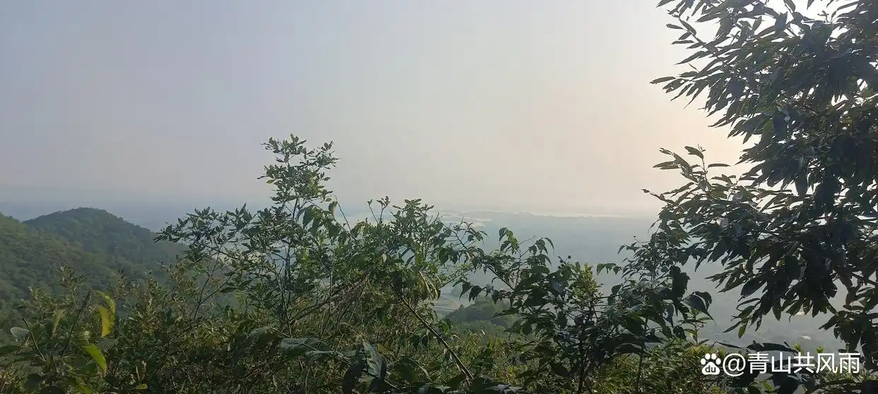 身旺用官 风水学_身旺无依_身弱何所依