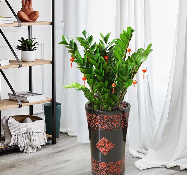 明财位整理_卧室风水财位方位图_正南辅助财位优化