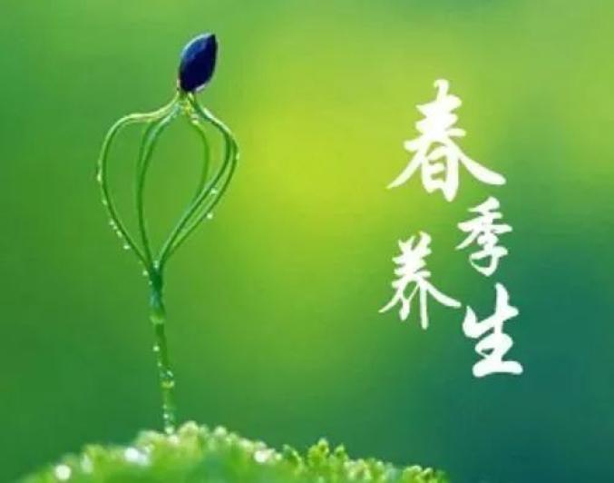 春季养肝饮食原则_春季怎么样养生_中医四时养生