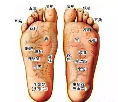 泡脚反射区功效_中医泡脚养生配方的注意事项_中药泡脚养生