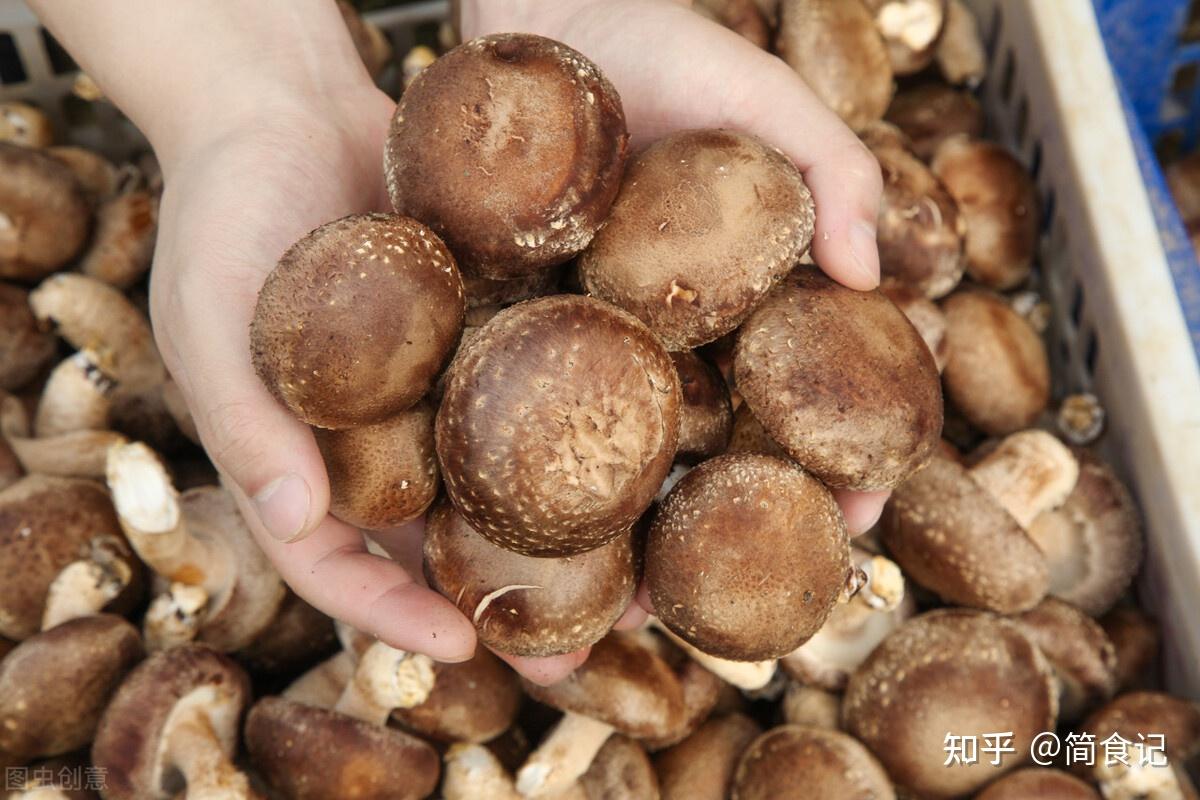 干香菇与鲜香菇的区别_香菇营养价值_香菇食疗