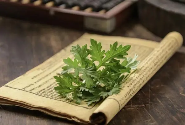 中医泡脚养生配方的注意事项_泡脚方法_泡脚好处