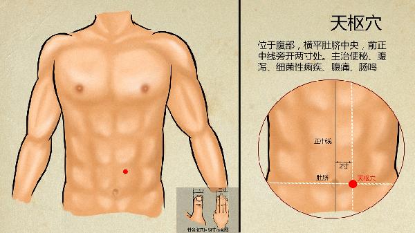中医入门体质改善_中医体质辨识 九种体质调理方法 平和质气虚质阳虚质阴虚质痰湿质湿热质血瘀质气郁质特禀质