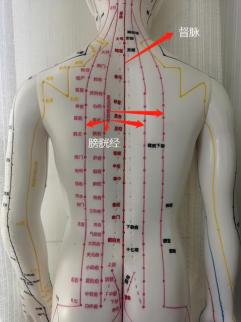 中医刮痧板_刮痧板使用方法_居家刮痧疗法
