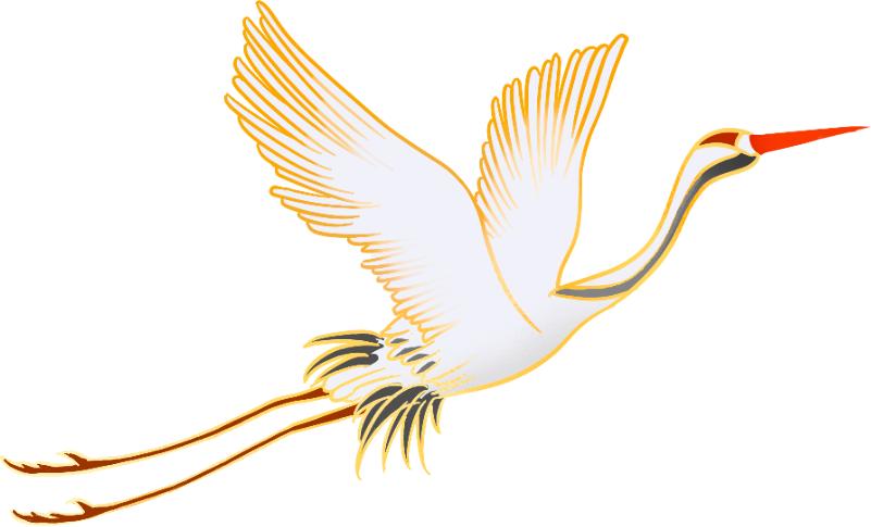 药膳前世今生_药膳发展历史_药膳果饮食疗